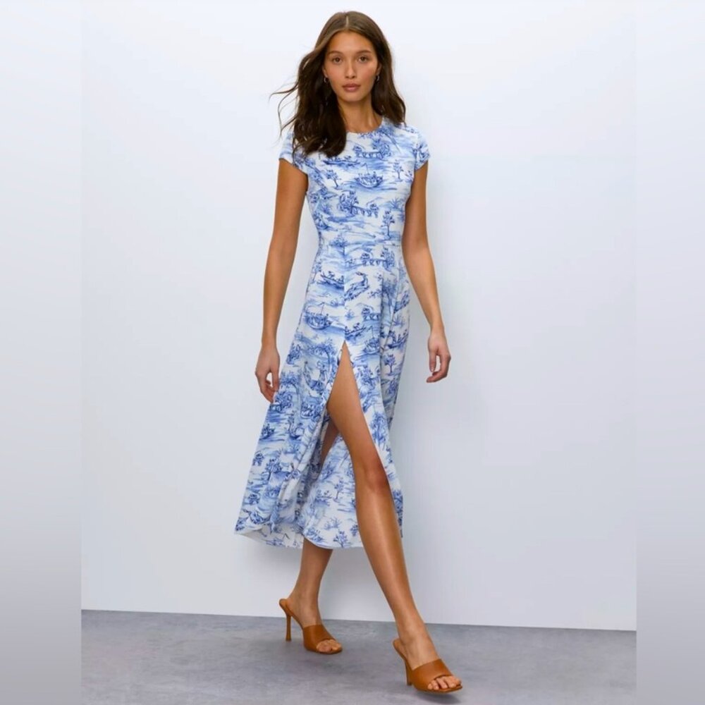 Babaton Toile Hamptons Dress